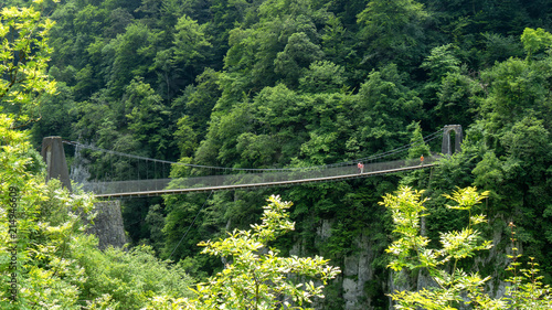 Holtzarte suspension bridge, Aquitaine, France photo