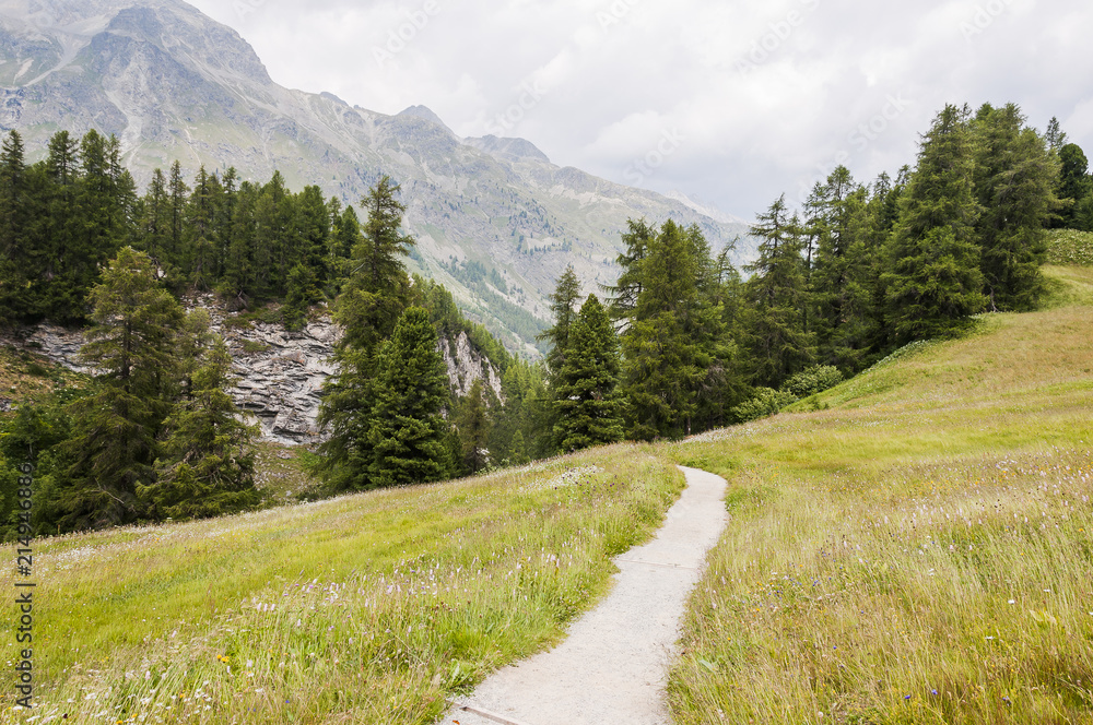 Sils, Val Fex, Fextal, Wanderweg, Schlucht, Fex Platte, Fedacla, Fluss, Schluchtweg, Oberengadin, Alpen, Sommer, Graubünden, Schweiz