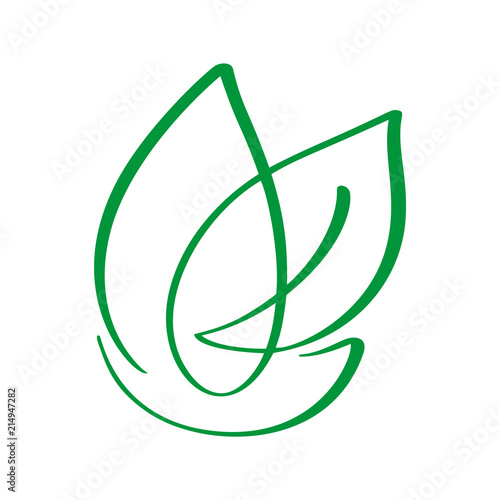 Vegan green leaf nature vector logo template design calligraphy illustration, food design. Handwritten lettering for restaurant, cafe raw menu. Elements for labels, logos, badges, stickers or icons