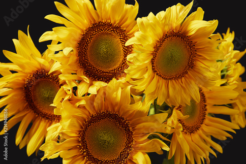 natural bouquet with yellow sunflowers, isolated on black