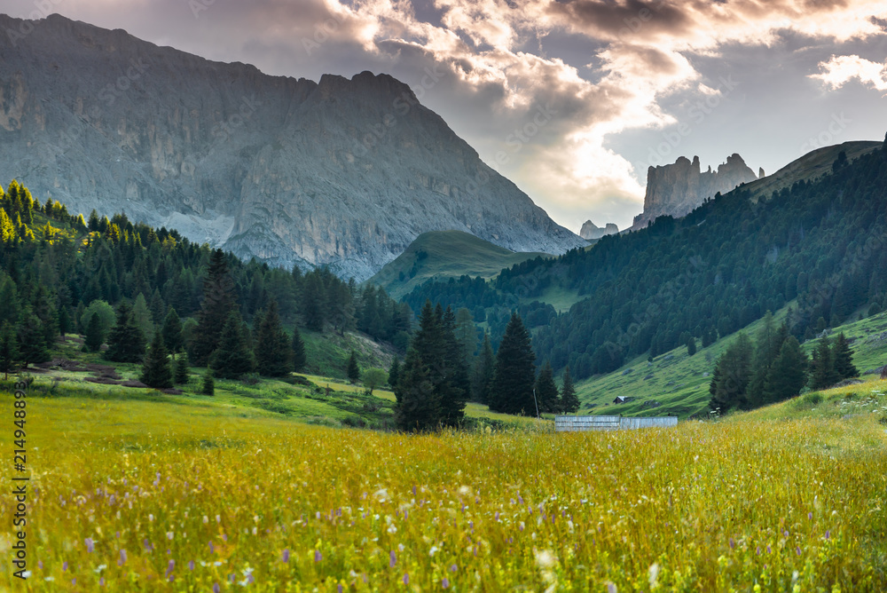 Fototapeta premium Dolomites, Italy Landscape Meadow. Famous travel destination for adventure, trekking, hiking and outdoor activity. Summer in Alps. High altitude alpine fresh green meadow. dramatic sunset in dolomites