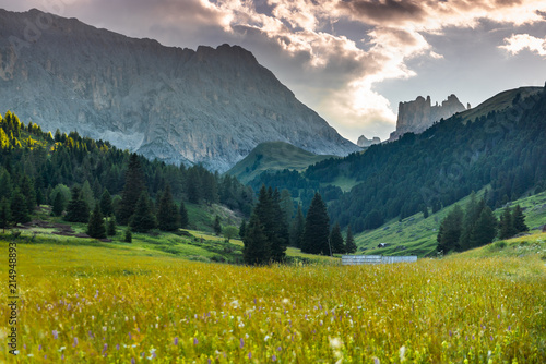Dolomites  Italy Landscape Meadow. Famous travel destination for adventure  trekking  hiking and outdoor activity. Summer in Alps. High altitude alpine fresh green meadow. dramatic sunset in dolomites