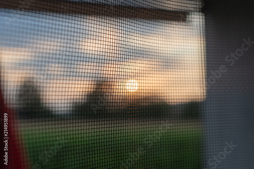 Schwarzes Insektenschutzgitter am Fenster mit Sonnenlicht 