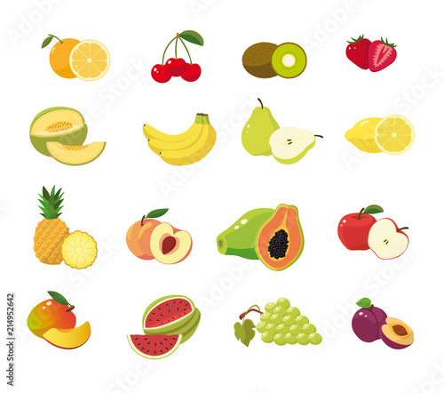 Fruit set in blank background