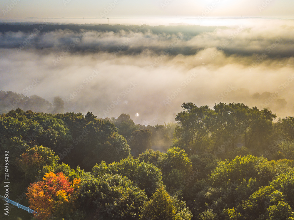 Aerial view of autumn trees Aerial view of autumn trees