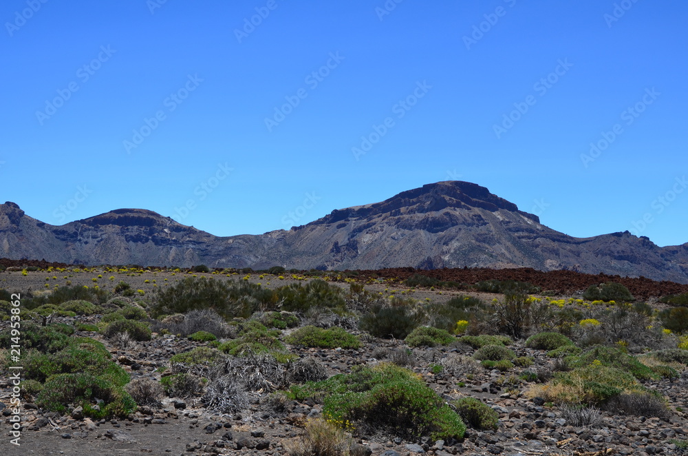 Teneriffa 2018 Teneriffa 2018