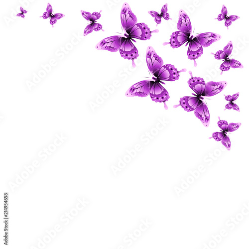 pink butterflies design, isolated on a white background © aboard