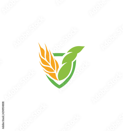 Wheat vector grain icon Isolated abstract orange color wheat ear hearldic logo. Nature element logotype. Agricultural organic product sign. Harvesting vector illustration