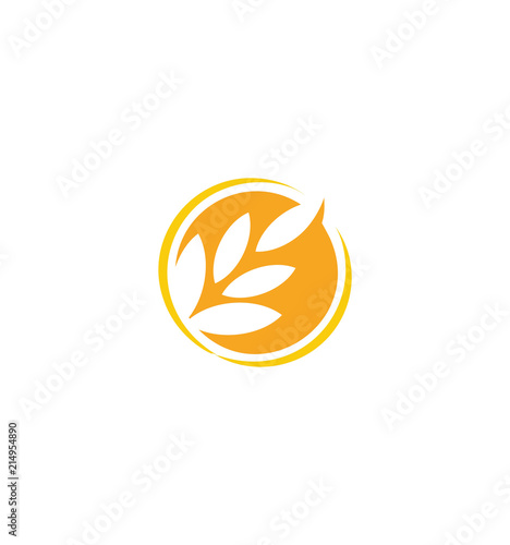 Wheat vector grain icon Isolated abstract orange color wheat ear round logo. Nature element logotype. Agricultural organic product sign. Harvesting vector illustration