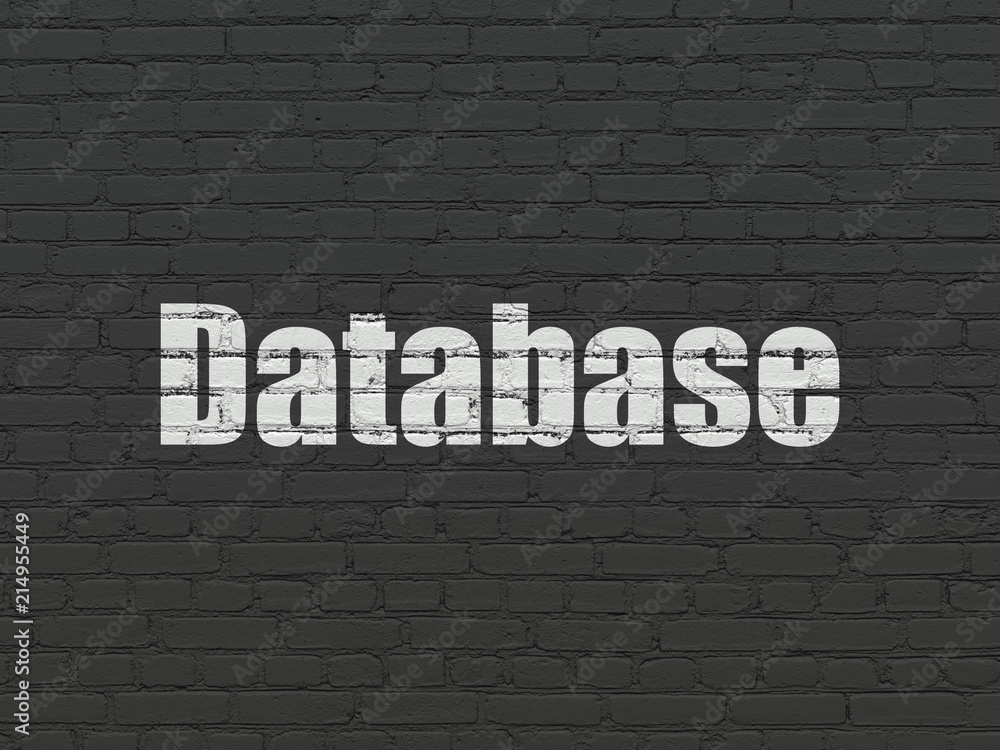 Obraz premium Programming concept: Painted white text Database on Black Brick wall background