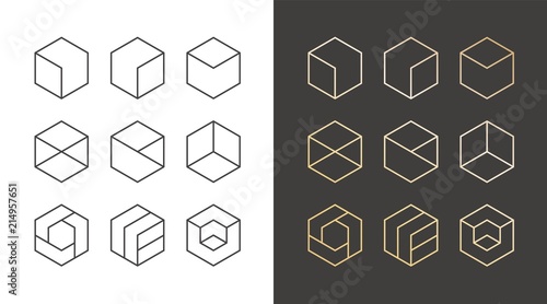 Set of 9 icons, trendy golden logo. Linear design elements. Hexagon vector illustration