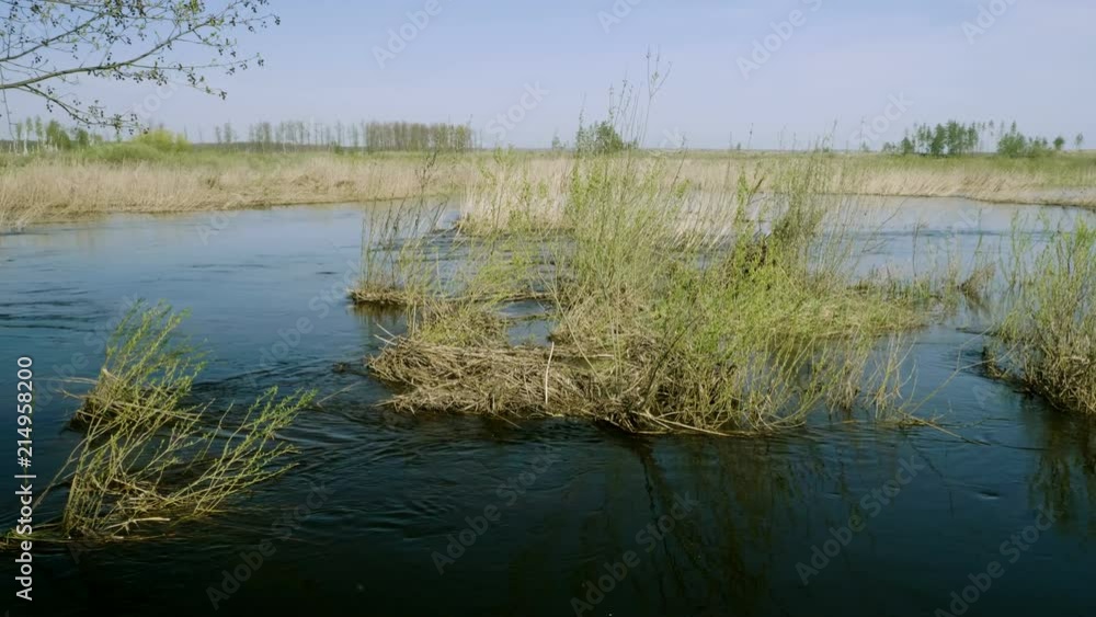 Flood of the river. Water flowing in spring forest. 4K Flood of the river. Water flowing in spring forest. 4K