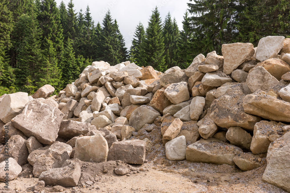 Building rubble from large stones lie in the forest