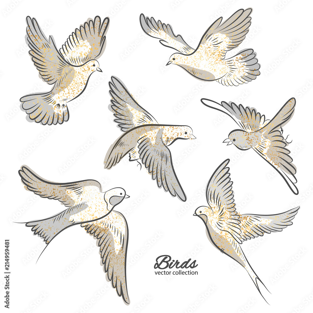 Fototapeta premium Set of hand drawn birds with golden sparkles isolated on white background. Vector illustration.