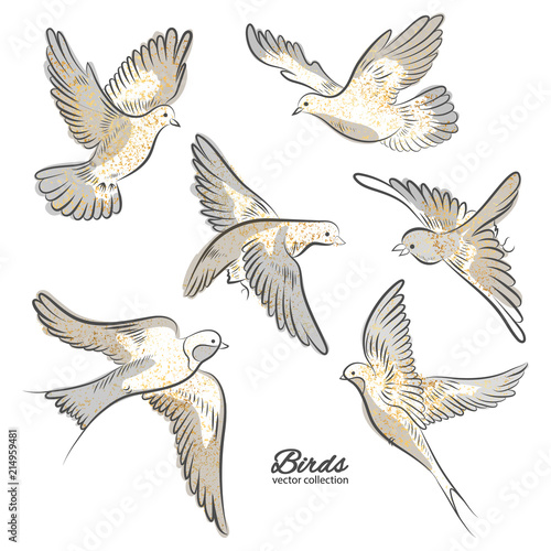 Set of hand drawn birds with golden sparkles isolated on white background. Vector illustration.