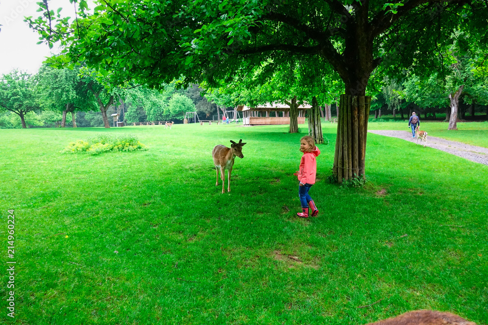 Fototapeta premium Happy pretty little girl in rubber boots feeds deers in the nature park at autumn