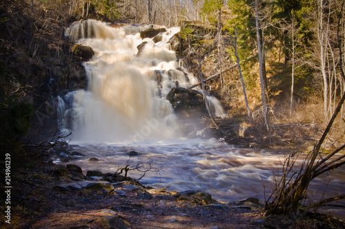 karelian waterfall in forest © Виктория Стацевич