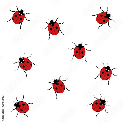 group of ladybugs illustration © RATOCA