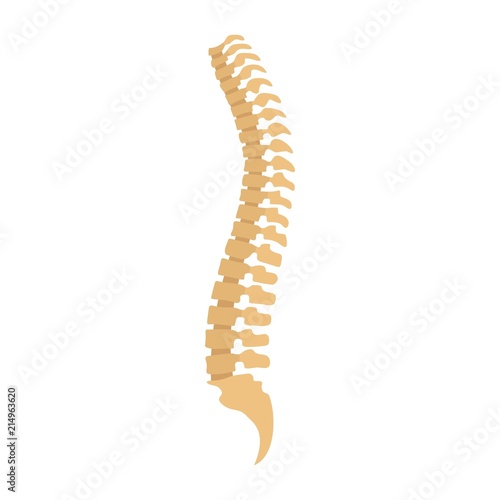 Spine icon. Flat illustration of spine vector icon for web isolated on white