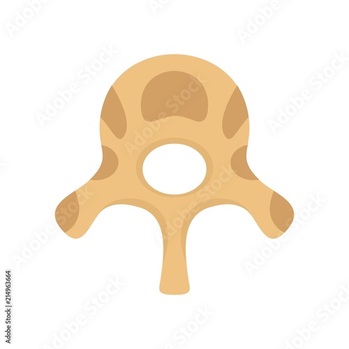Vertebra disc icon. Flat illustration of vertebra disc vector icon for web isolated on white