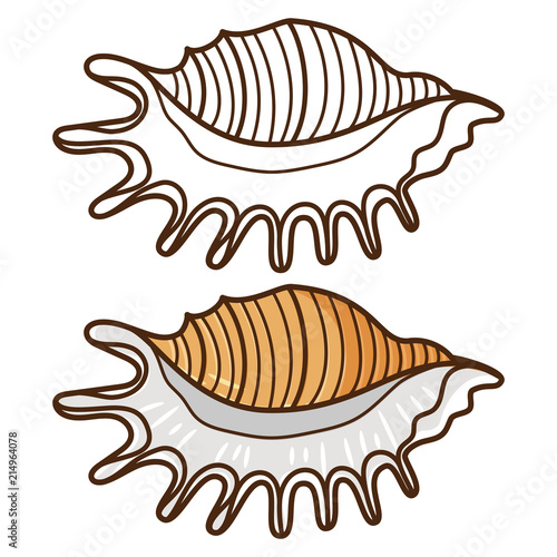 Coloring for kids with sea shell
