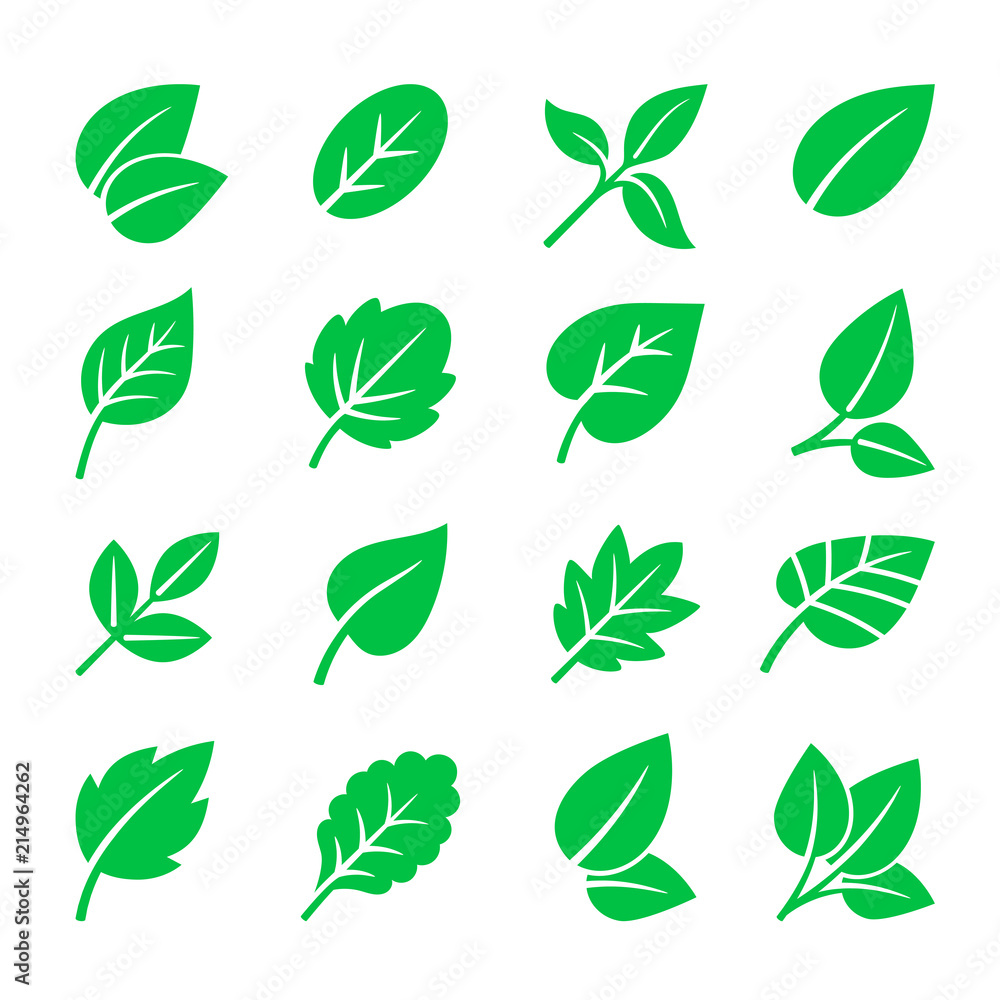 Green leaves icons. Vector leaf symbols illustration, trees leafs signs on white for natural logo Green leaves icons. Vector leaf symbols illustration, trees leafs signs on white for natural logo