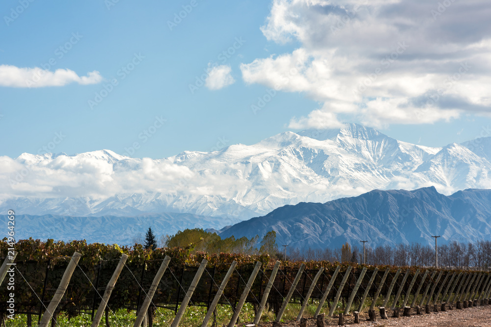 Early morning in the late autumn: Volcano Aconcagua Cordillera and Vineyard. Andes mountain range, in the Argentine province of Mendoza - obrazy, fototapety, plakaty 