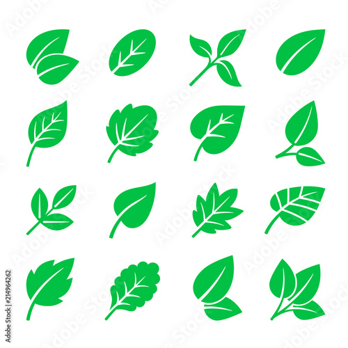 Green leaves icons. Vector leaf symbols illustration, trees leafs signs on white for natural logo