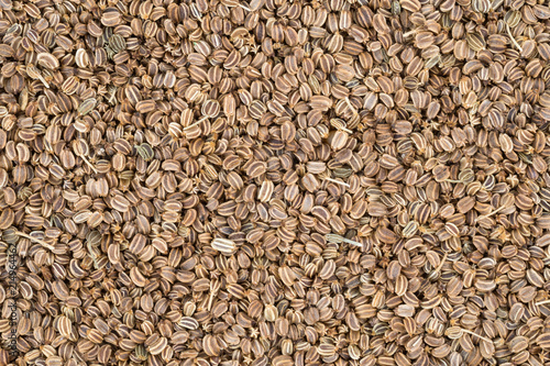 celery seed background