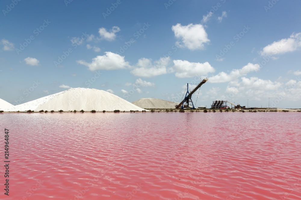 Salt marshes in Aigues Mortes, France