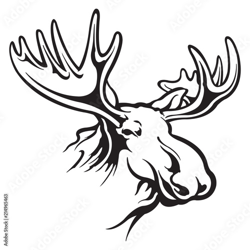 Moose