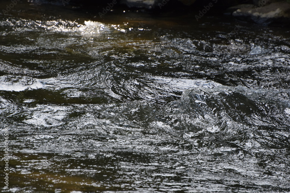 Water Texture from River Water Texture from River