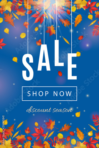 Wallpaper Mural Autumn sale template with leaves isolated on clear blue sky background. Abstract fall sunny background for your discount banner design. Vector illustration Torontodigital.ca