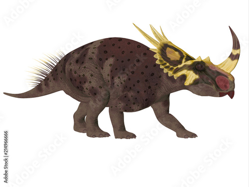 Brown Rubeosaurus Dinosaur Side Profile - Rubeosaurus was a Ceratopsian herbivorous dinosaur that lived during the Cretaceous Period of North America. © Catmando