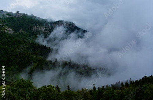 Foggy Mountain © Khincho