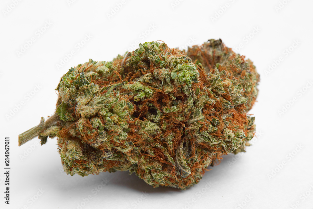 Close up of legal prescription and recreational medical marijuana indica flower bud isolated on white background Close up of legal prescription and recreational medical marijuana indica flower bud isolated on white background