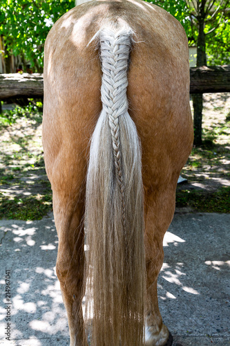 Fototapeta Naklejka Na Ścianę i Meble -  ein geflochtener Pferdeschweif