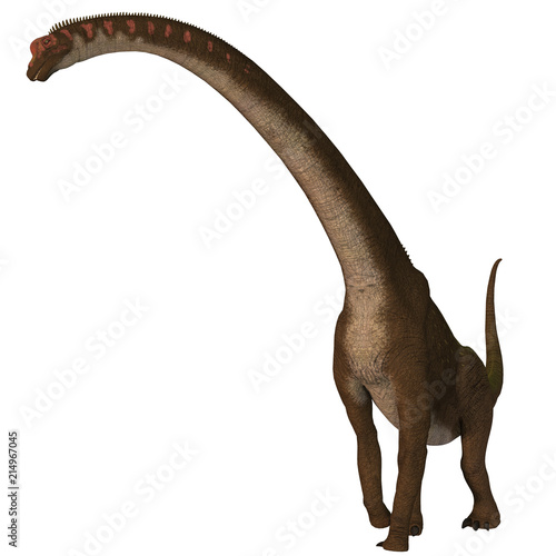 Giraffatitan Dinosaur on White - Giraffatitan was a herbivorous sauropod dinosaur that lived in Africa during the Jurassic Period. © Catmando