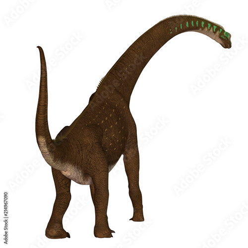 Giraffatitan Dinosaur Tail - Giraffatitan was a herbivorous sauropod dinosaur that lived in Africa during the Jurassic Period. © Catmando
