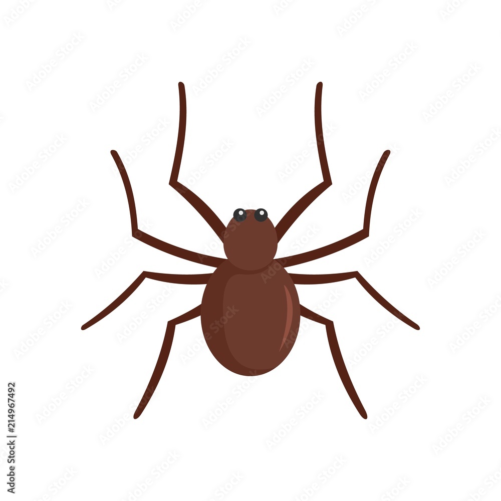 Grass spider icon. Flat illustration of grass spider vector icon for web isolated on white Grass spider icon. Flat illustration of grass spider vector icon for web isolated on white