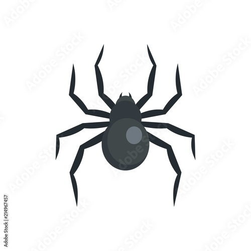 Black widow spider icon. Flat illustration of black widow spider vector icon for web isolated on white