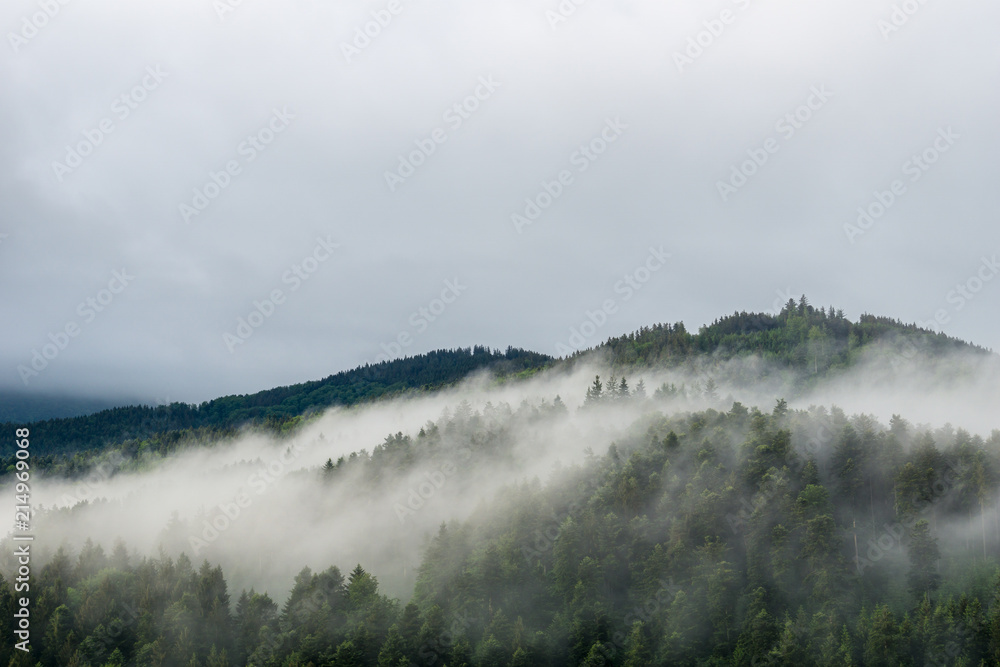 Germany, Black forest early morning misty atmosphere