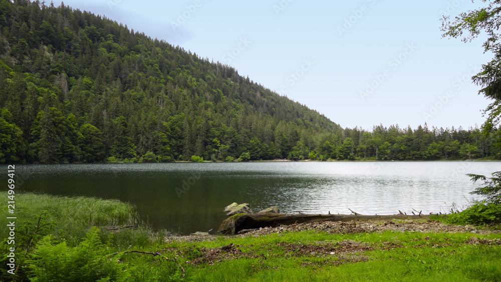 Lac Feldsee - Forêt Noire