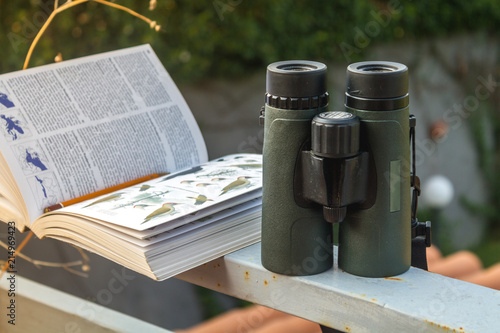 Binoculars and Bird Guide photo