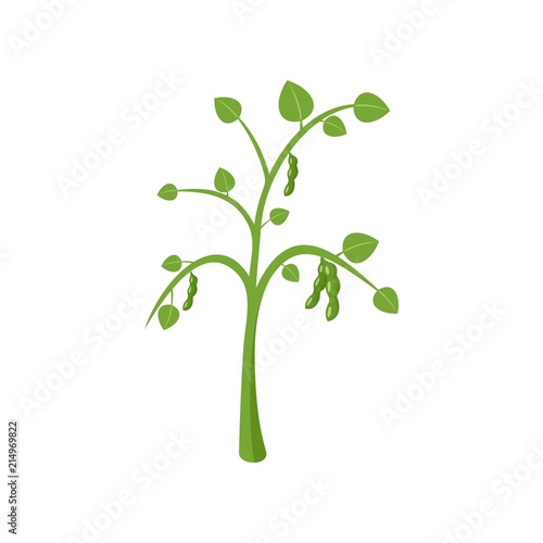 Peas plant icon. Flat illustration of peas plant vector icon for web isolated on white