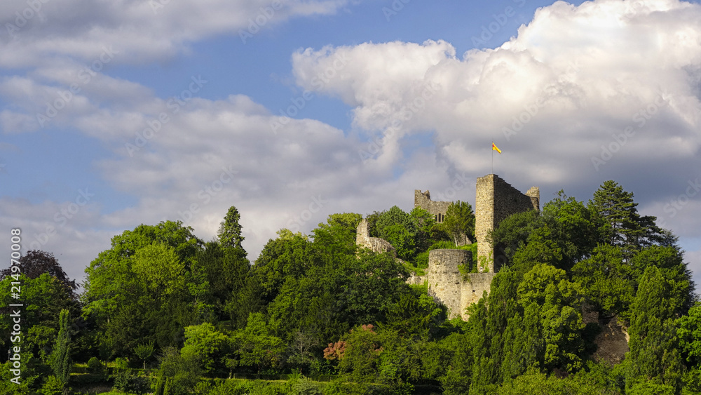 Château de Badenweiler - Forêt Noire
