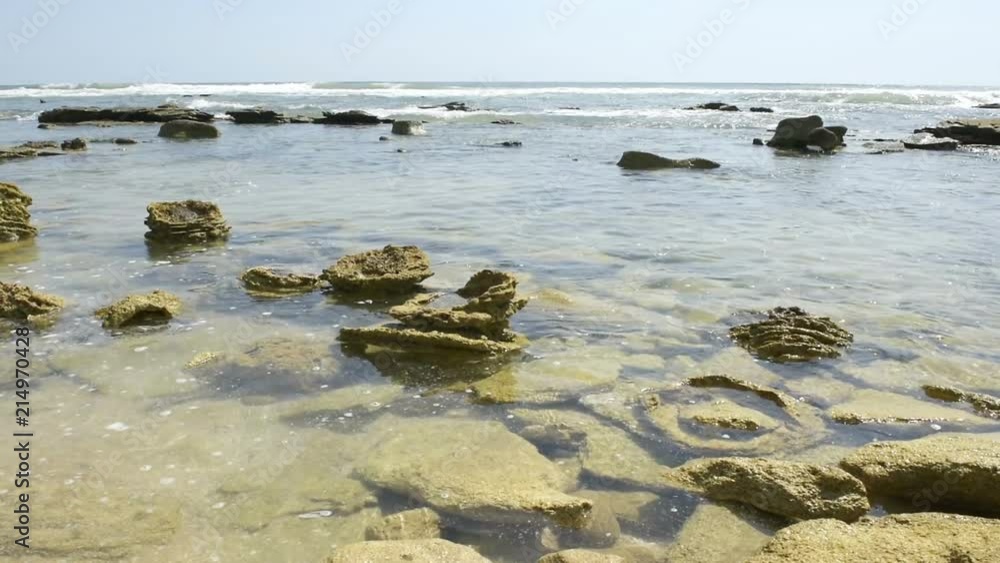 River to Sea Preserve, Marineland, rock formations in northern Florida beach by St Augustine with shallow waves, sand and nobody on sunny day River to Sea Preserve, Marineland, rock formations in northern Florida beach by St Augustine with shallow waves, sand and nobody on sunny day