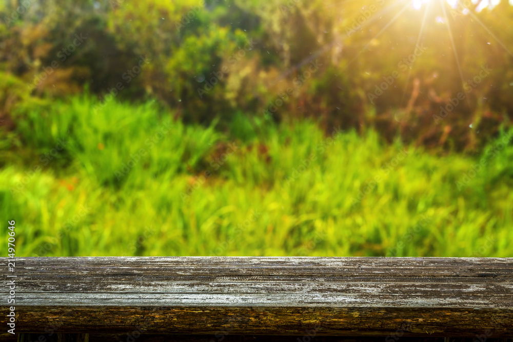 Empty rustic wooden picnic table surrounded by tropical vegetation - Reunion Island Empty rustic wooden picnic table surrounded by tropical vegetation - Reunion Island