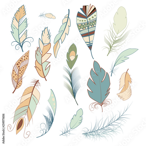 Tribal feather bird nature wing element vector graphic illustration hand drawn style.