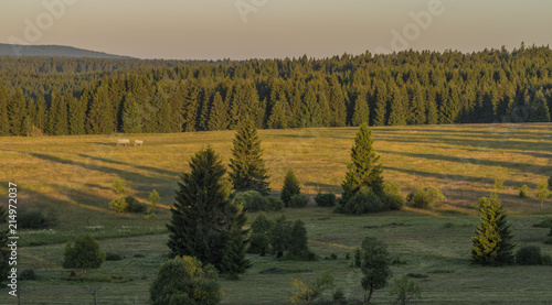 Slavkovsky les mountains in summer sunset time